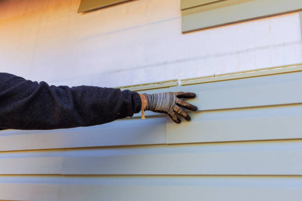 Affordable Siding Repair and Maintenance Services in Frankfort, KY